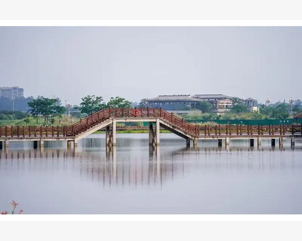 吃鸽子能补脾胃，是真的吗？